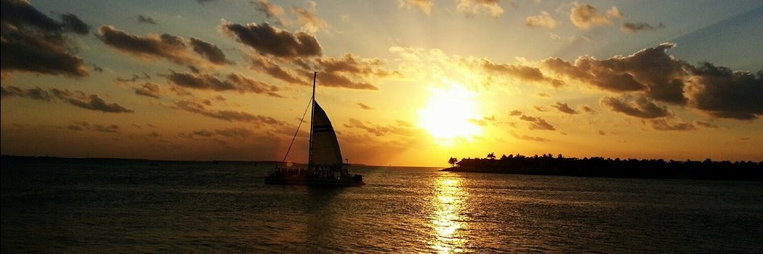 LynnHR's profile banner image