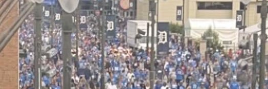 Lions Superfan Carl McJenkins's banner