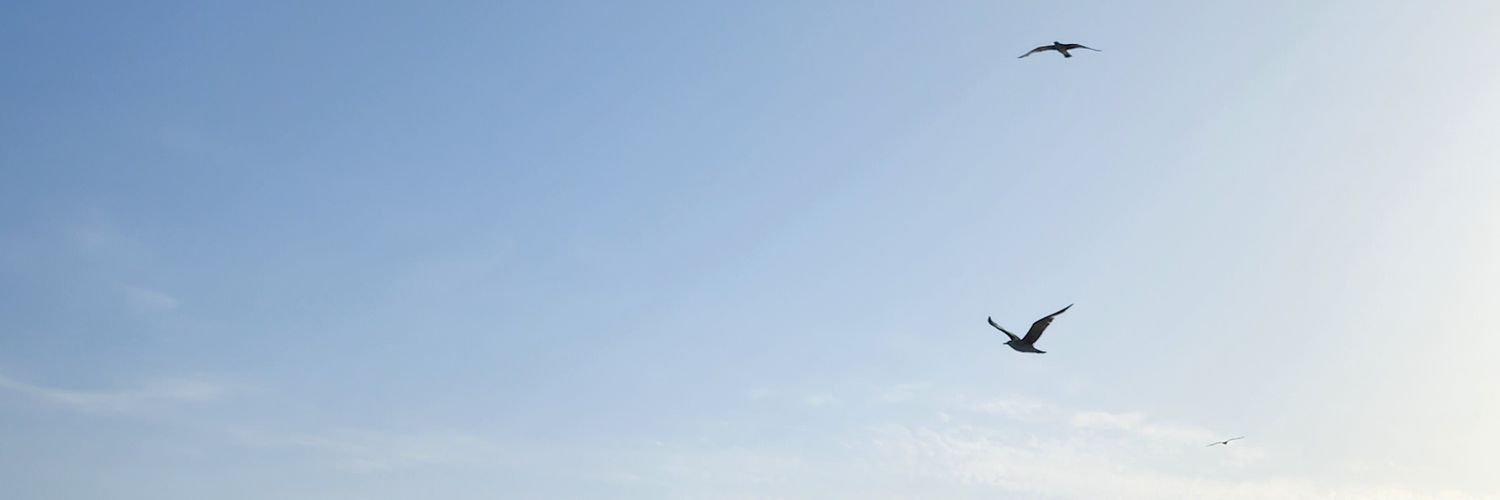 PC2328's profile banner image