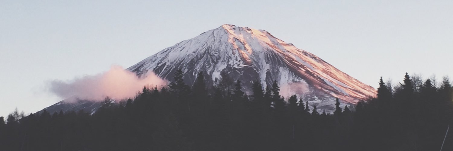 elxine's profile banner image