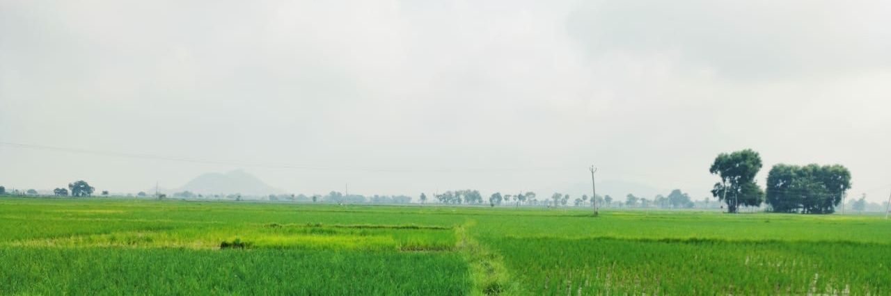 shaariqanwer's profile banner image