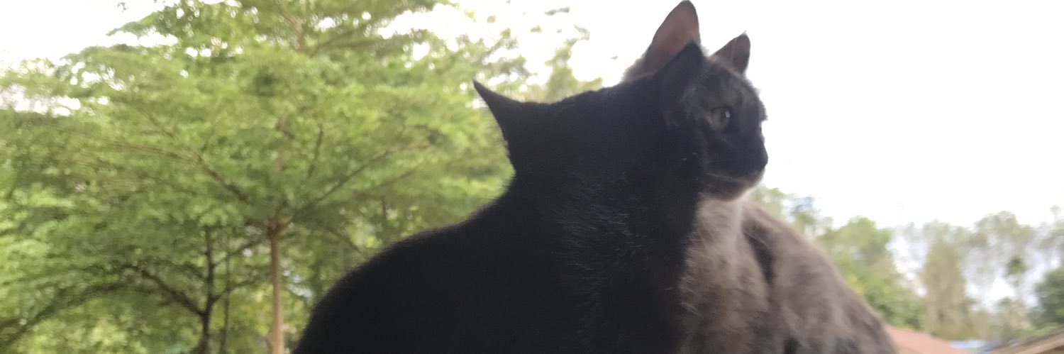 Mooa180's profile banner image