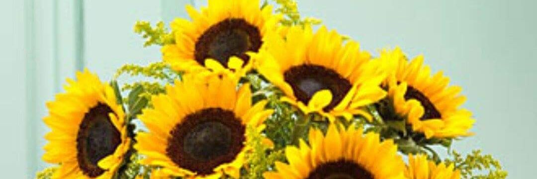 RJsunflower's profile banner image