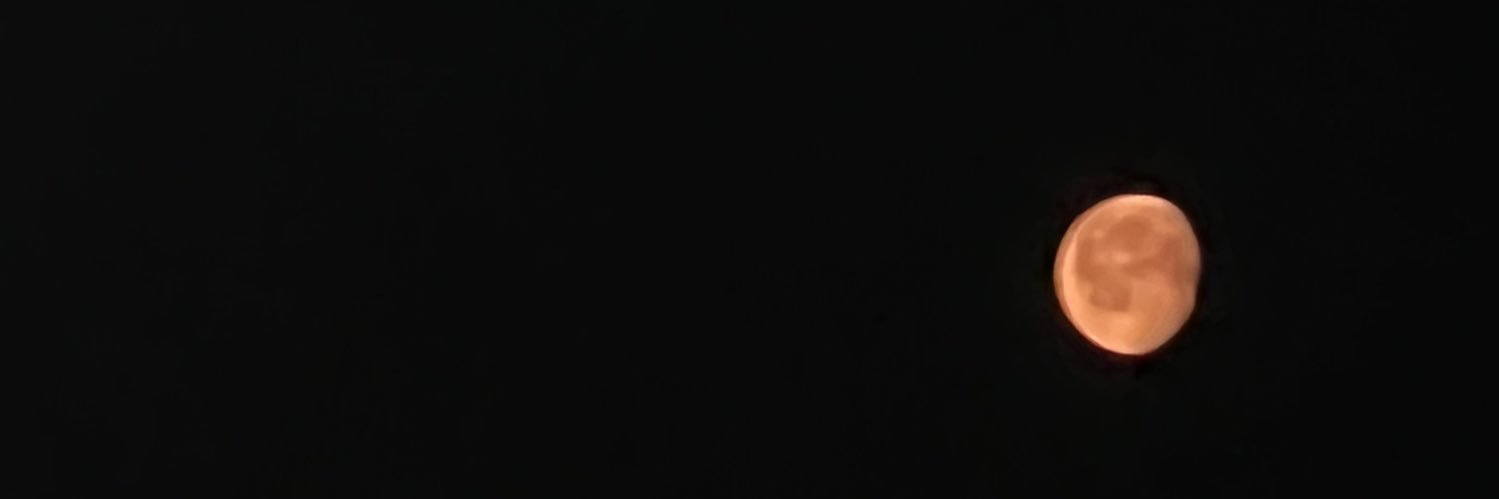 aurowry's profile banner image