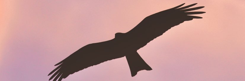 TaylorCoooper's profile banner image