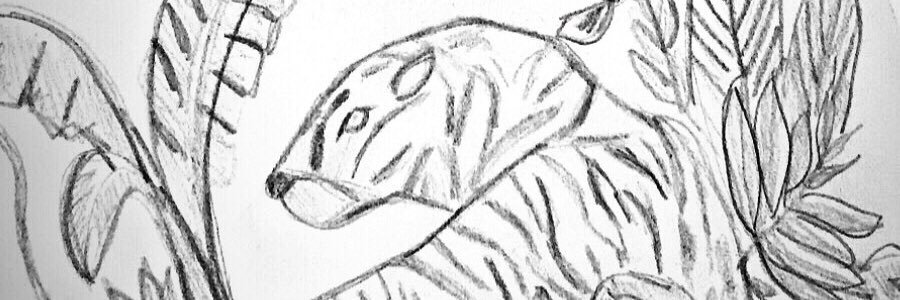 always__sonia's profile banner image