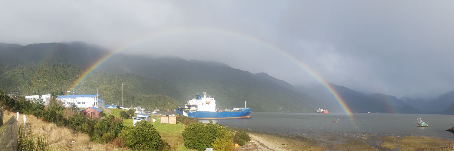 Michel Compagnon banner