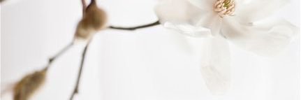 عنود للتصاميم banner