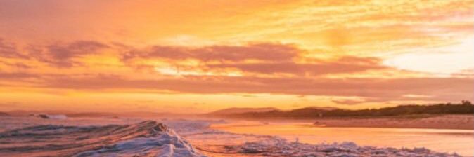 stfrodar's profile banner image