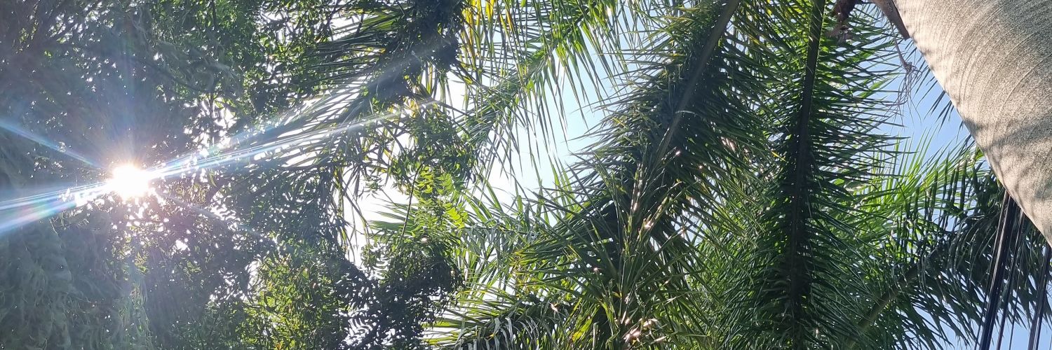 magpejauregui's profile banner image