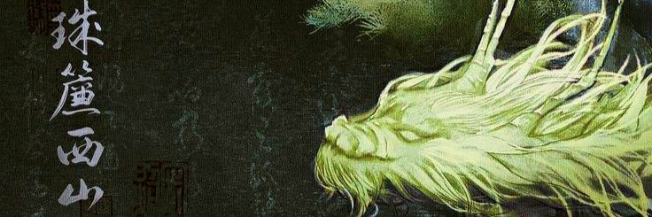 🐉 Green dragon. banner