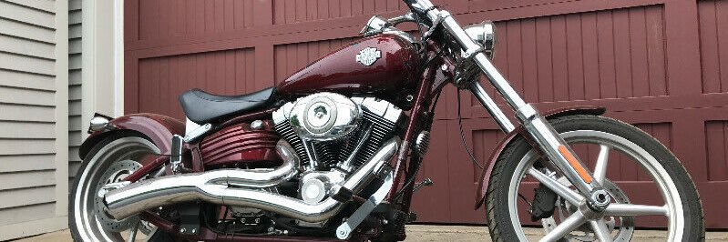 Bikerman banner