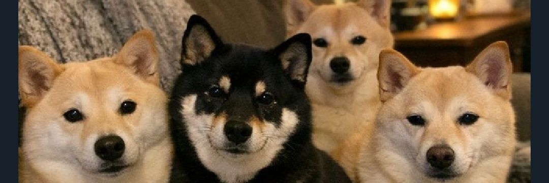 Rednck CrypTo_tr🛞kr banner