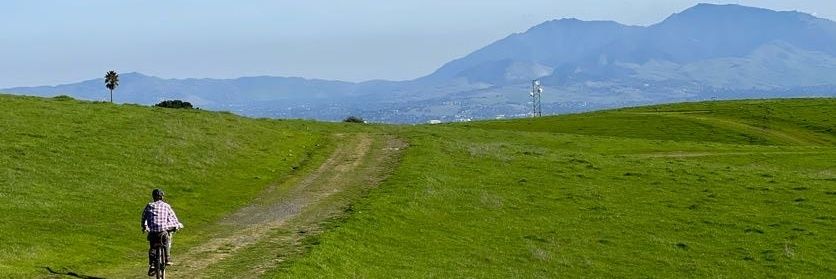 Sam Greenberg banner