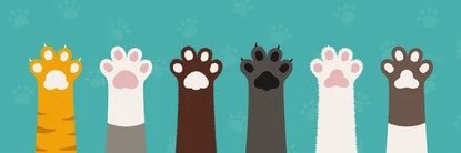 ruritter0723's profile banner image