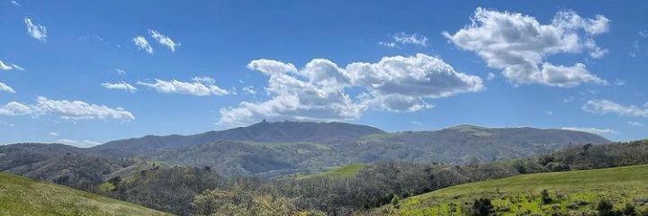 nadreeyH's profile banner image