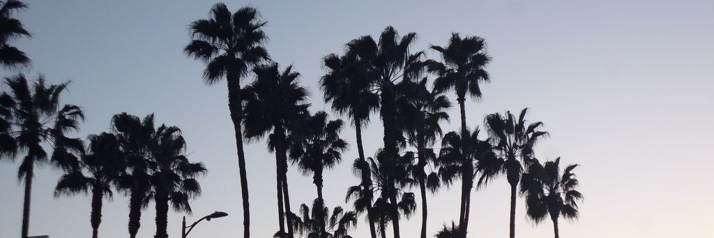 alissha's profile banner image