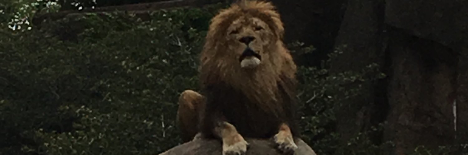 Balrog_the_terrible banner