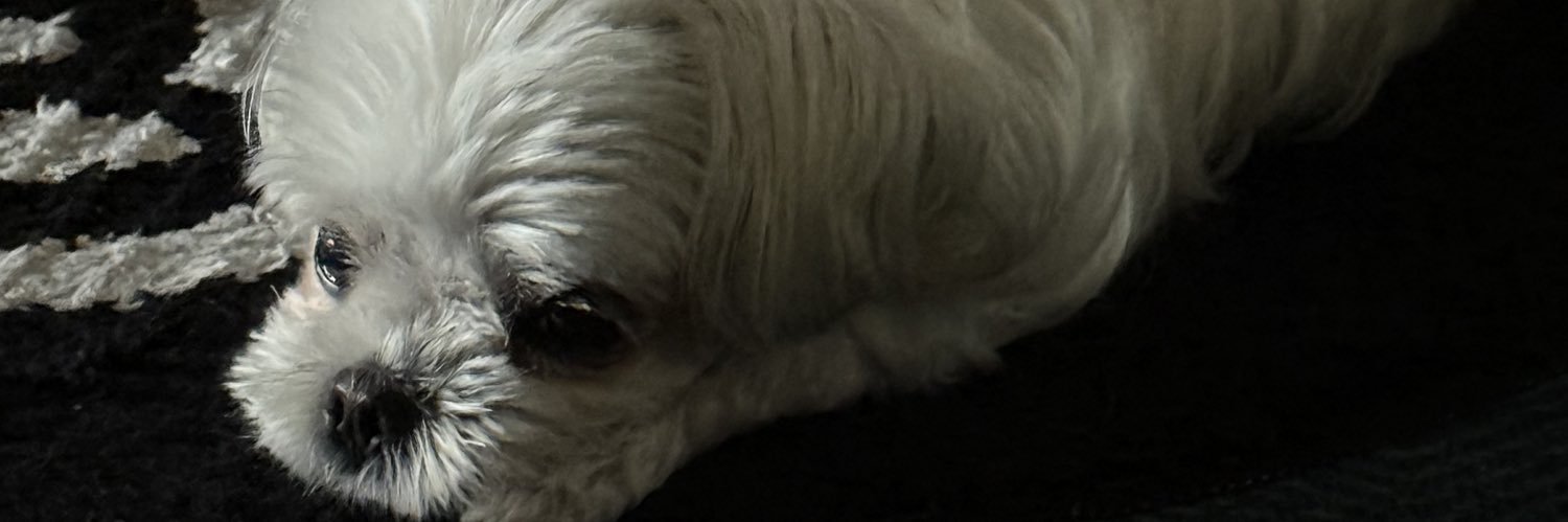 CON__Y's profile banner image