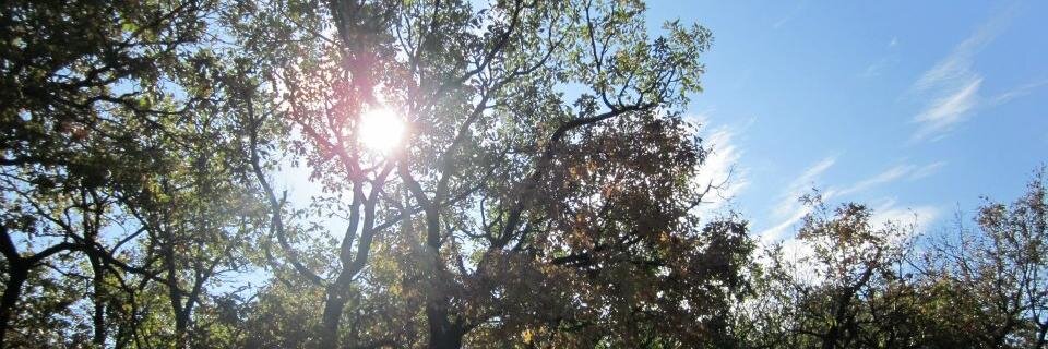 cbechard's profile banner image