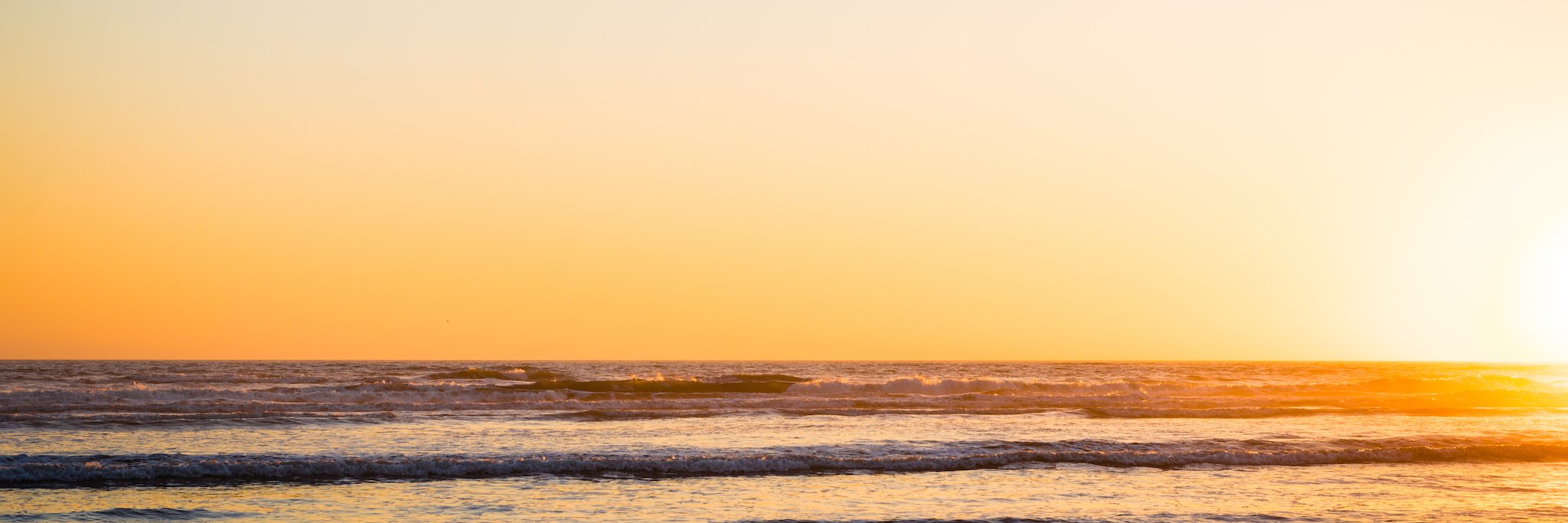 Michael Palermiti banner