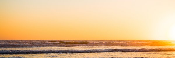 MPalermiti Profile Banner