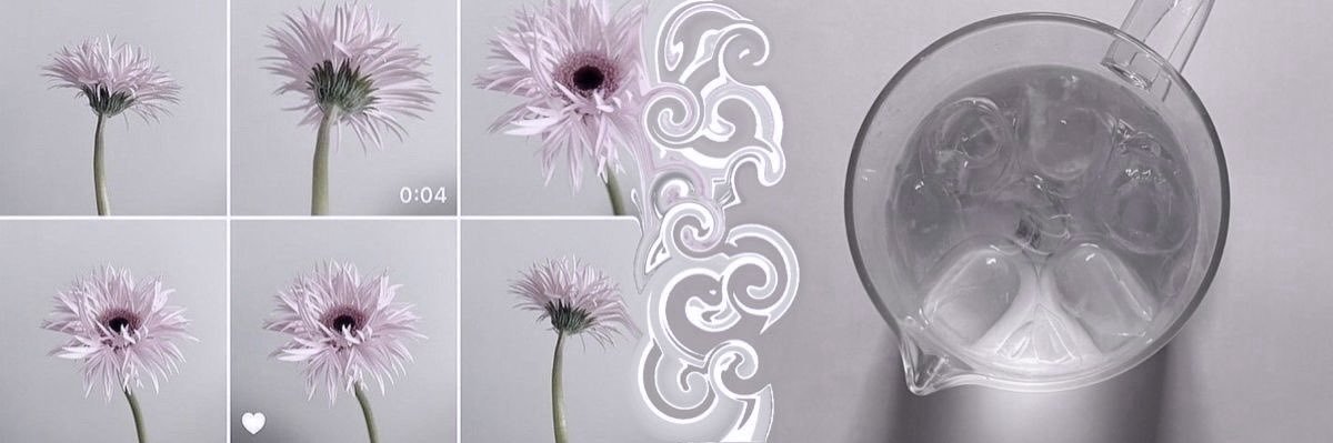 𝓑 banner