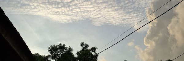 cinnamoless Profile Banner