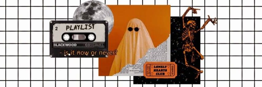 fjsluvr's profile banner image