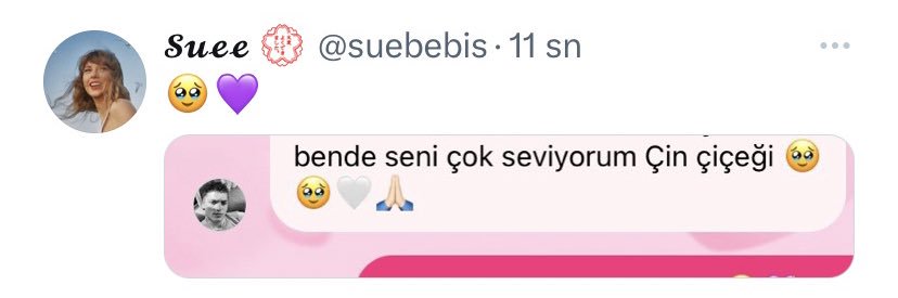 sue 💮 banner