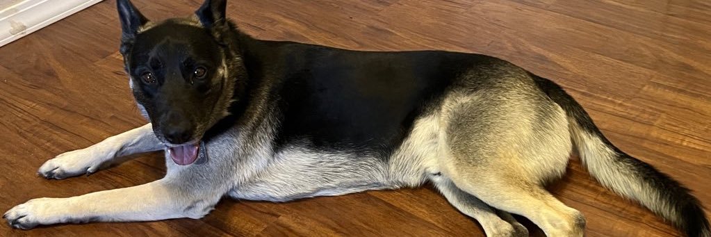 Lalo Martinez banner