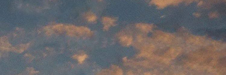 flwr banner
