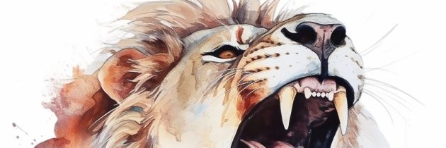 LEWAZIE's profile banner image