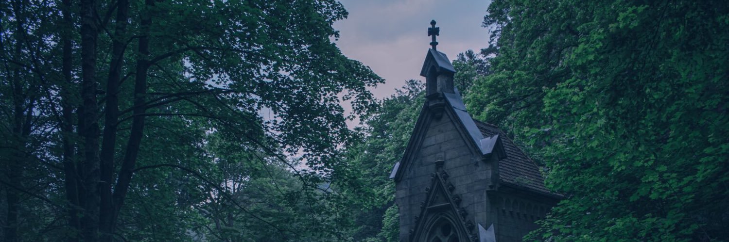 hitch_hikeerr's profile banner image