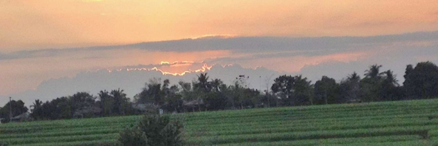 BisoyYu's profile banner image