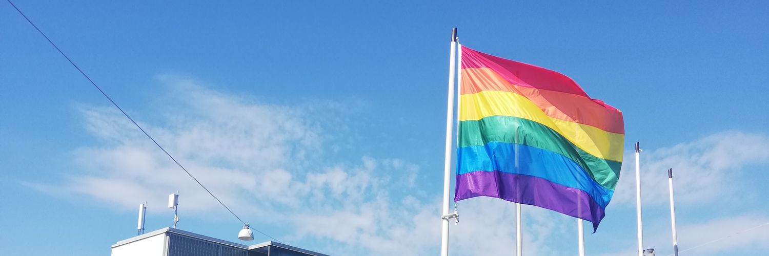 Janita Niemelä banner