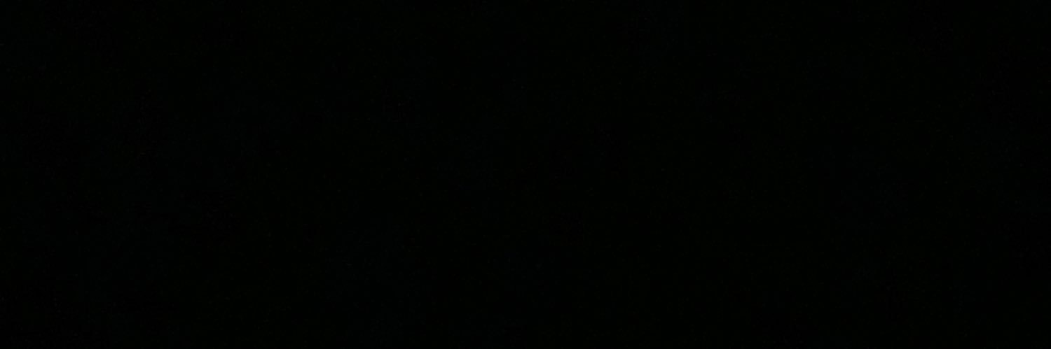 ladyironfang's profile banner image