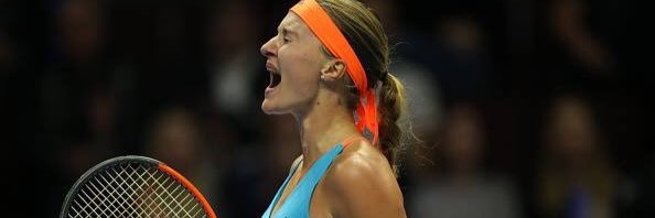 Team Mladenovic banner