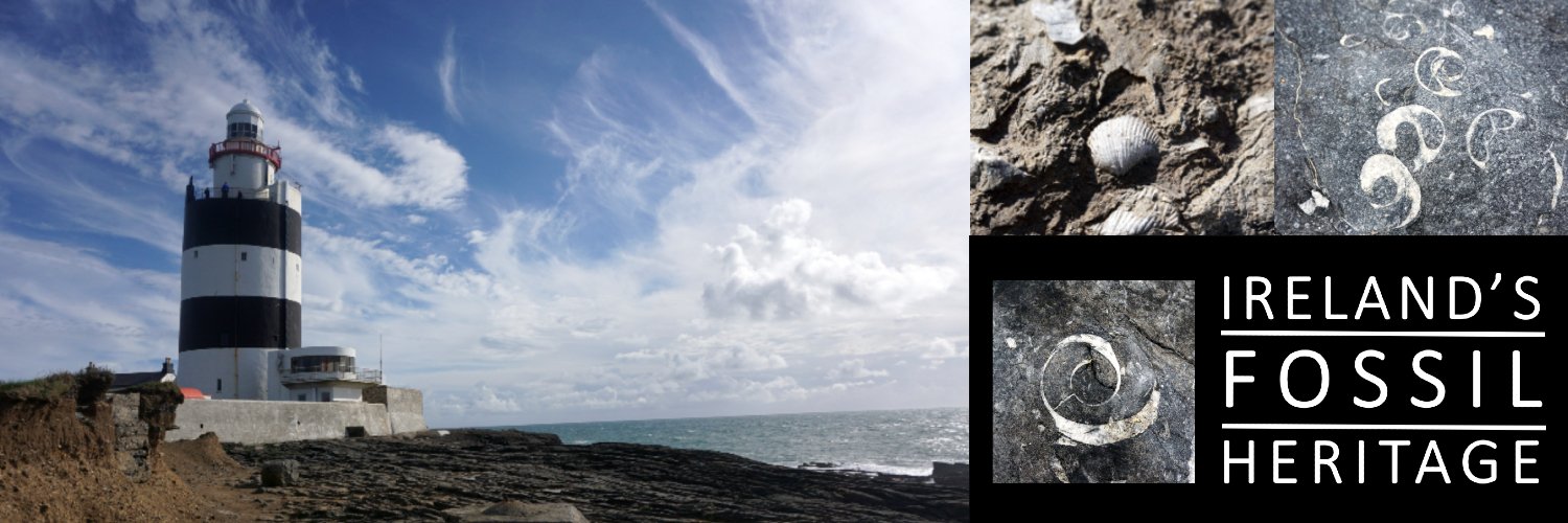 Ireland's Fossil Heritage's banner