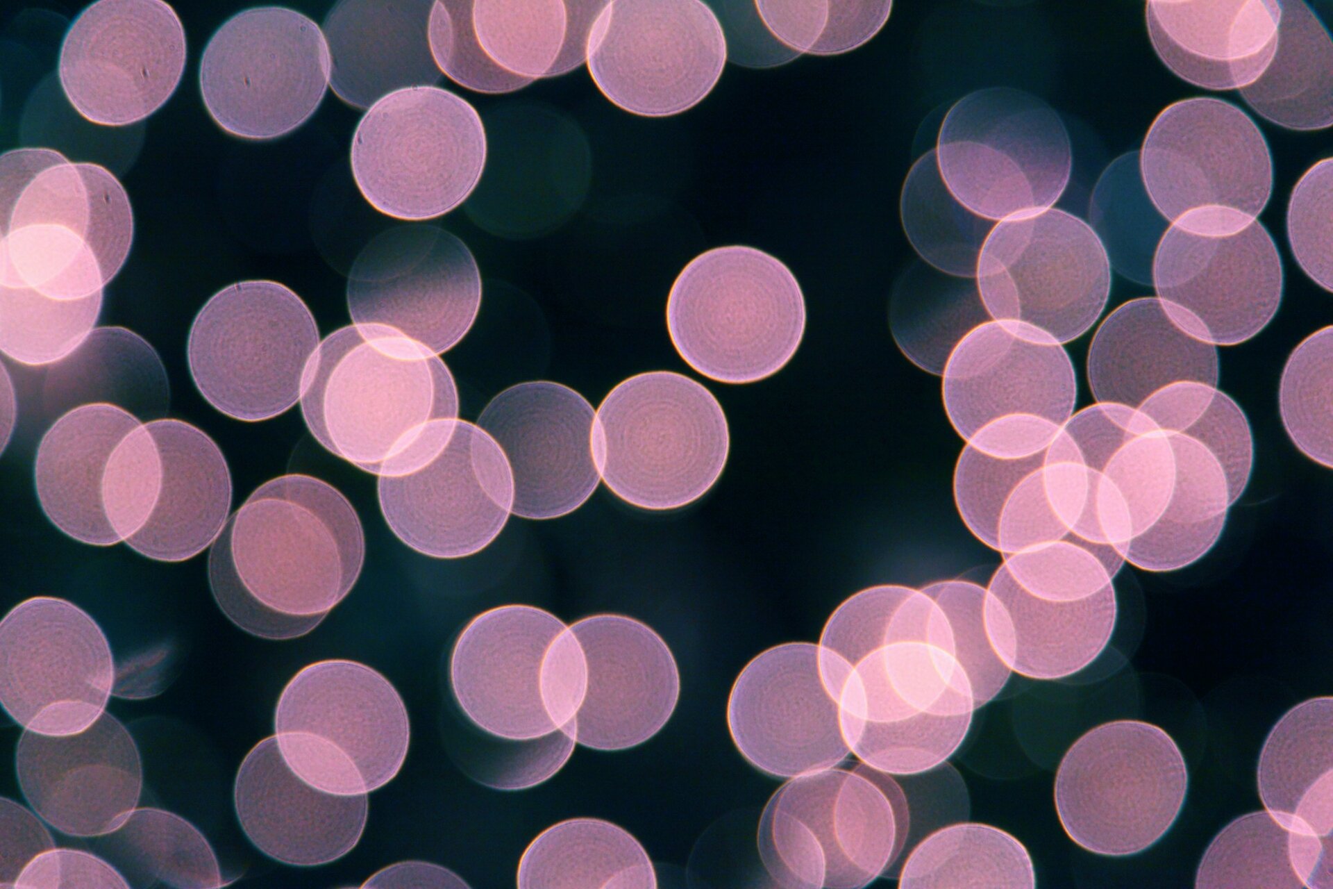ale192011's profile banner image