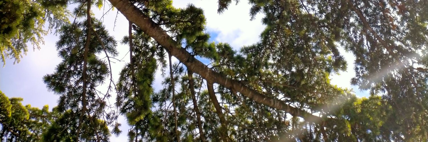 tantdebo_'s profile banner image