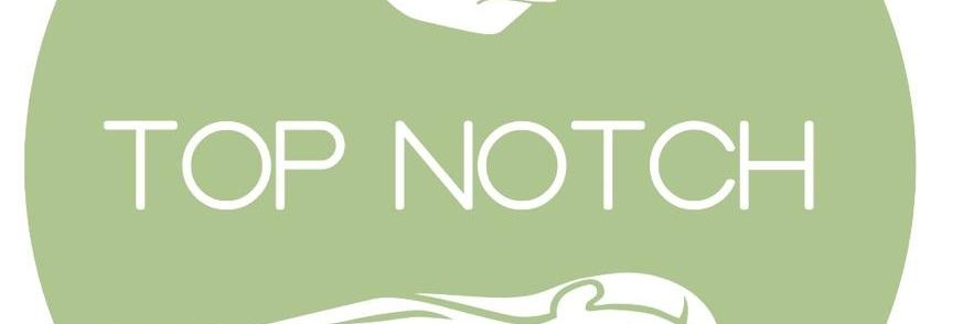 TopNotchSpa Wellness and Beauty banner