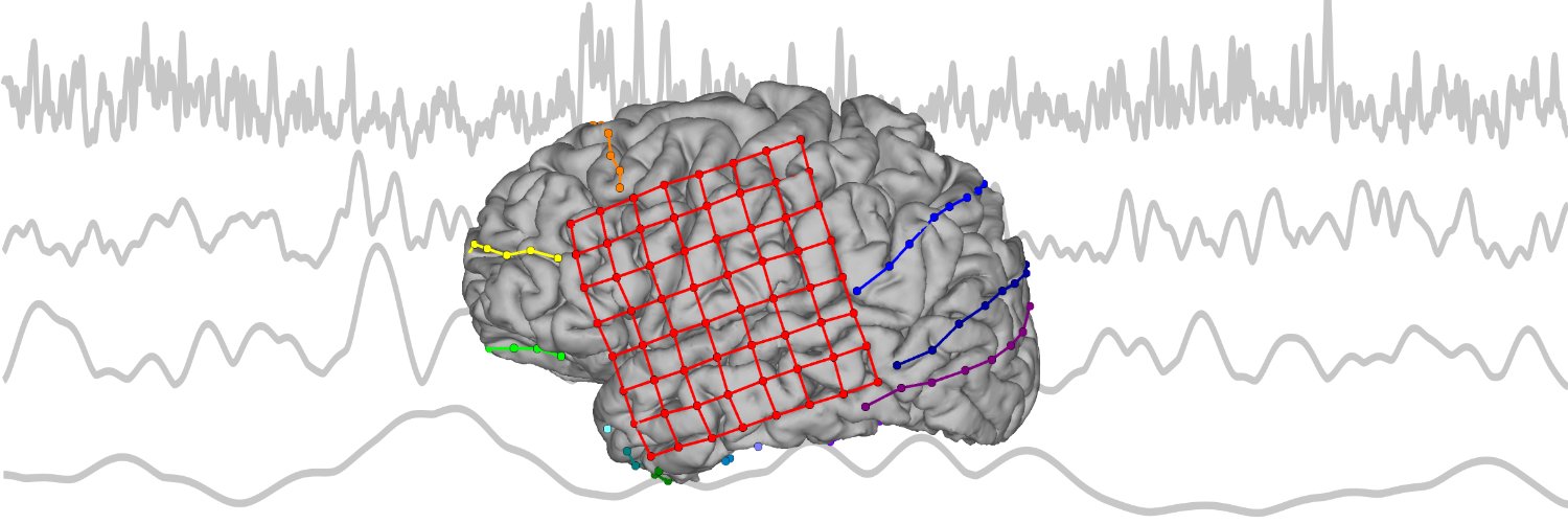 Neural Dynamics Lab banner