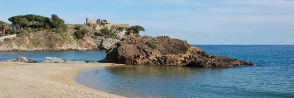 Sílvia Castells 🎗 banner