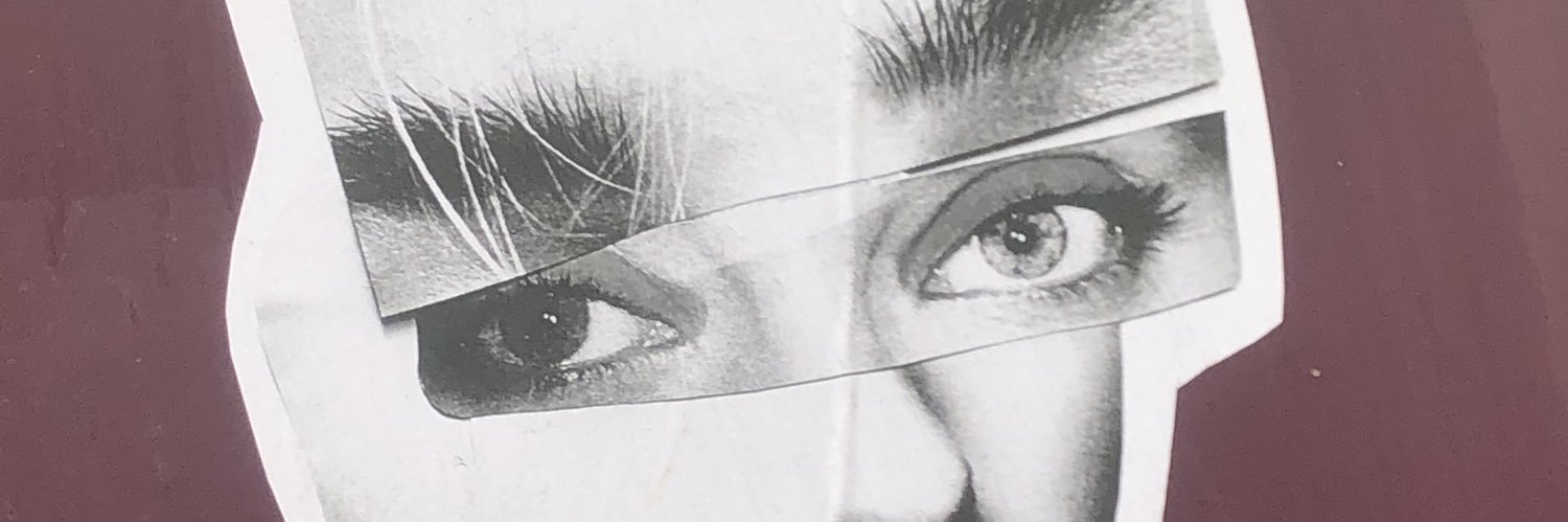 seth fox banner