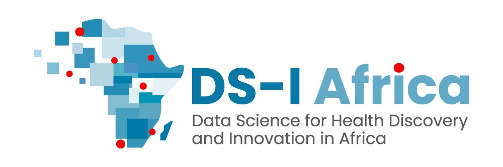 DS-I Africa's banner