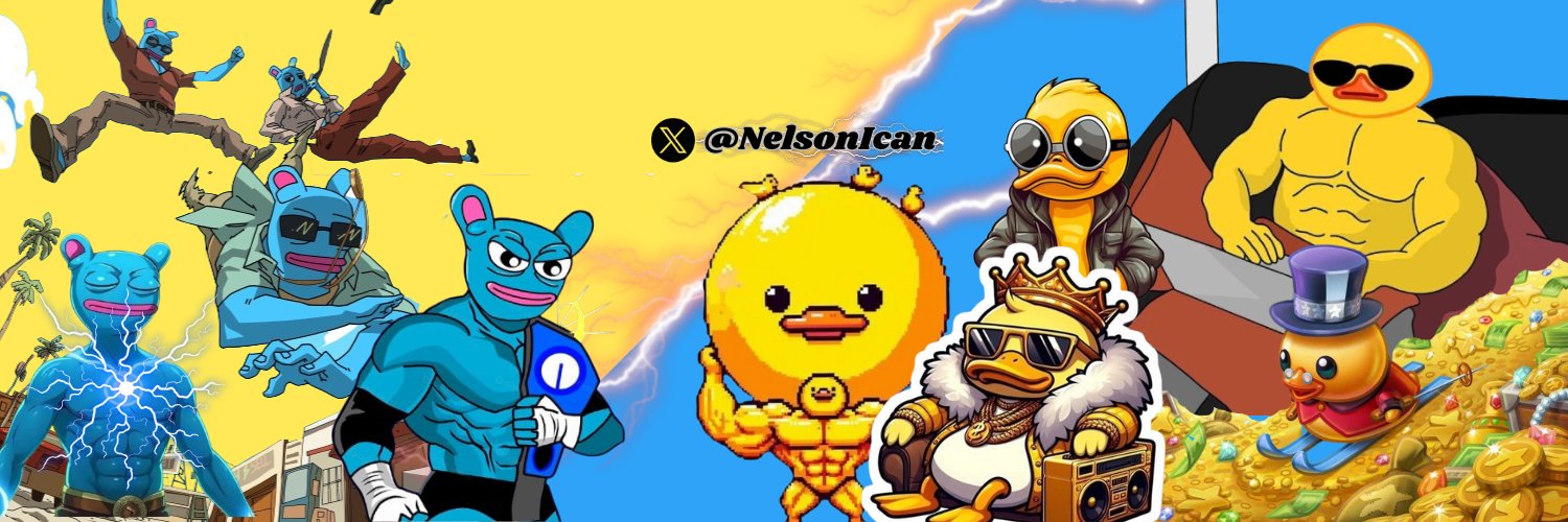 NelsonIcan's profile banner image