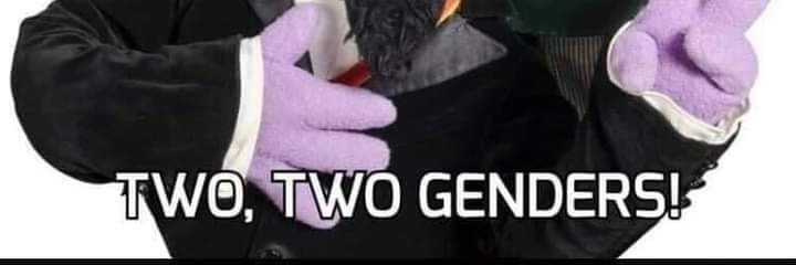 N banner