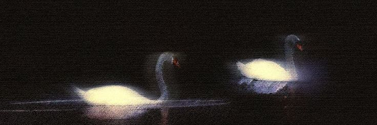 Ken. banner