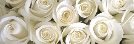 EIIie37's profile banner image